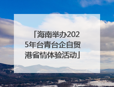 海南举办2025年台青台企自贸港省情体验活动